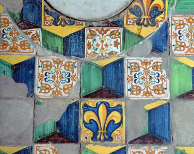 Dettaglio delle piastrelle del pavimento della cantina della Villa Medicea di Careggi da Michelozzo di Bartolommeo
